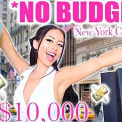No Budget Shopping Spree: New York City!