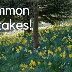 What Most Gardeners Get Wrong About Daffodils (Expert Tips)