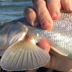 BEST WAY to CATCH ANY FISH in SALTWATER!