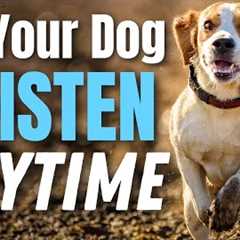 Teach Your Dog To Listen No Matter What… Even If You Think They Are Stubborn #144 #podcast