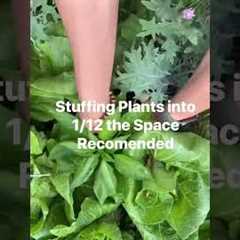 People won’t tell you this! These are the garden hacks that actually work… #garden #gardening101