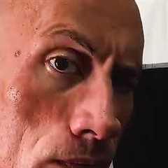 Eyebrow Raise- THE ROCK vs COW