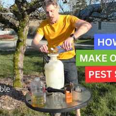 How To Make DIY Organic Pest Spray For Your Fruit Trees!