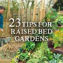 23 Raised Bed Gardening Tips I Wish I Knew Sooner