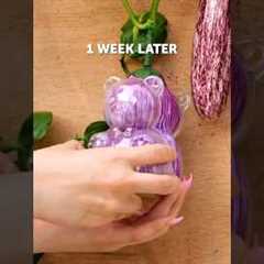 5 gardening hacks every beginner needs to know