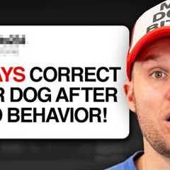 Dog Expert Reacts to the WORST Dog Training Advice