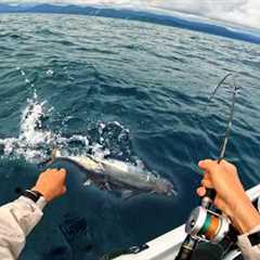 I Didn't Think It Was Possible... Remote South Island West Coast ( Catch Cook )