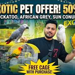 ​Huge Eid Sale! Budgie Bundles &  Exotic Parrots at Wajid Exotic Pets! 🦜✨