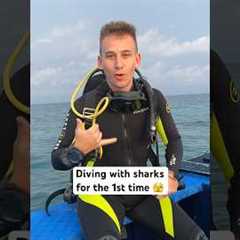 1st time diving with sharks 🦈