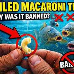 Put Boiled Macaroni on Your Hook — Better Than Live Bait (Why Was It Banned?)