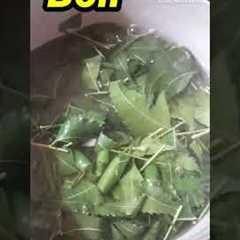 How to make Organic Pesticide from Neem leaves #shorts #viral #shorts feeds #shortvideo #ytshorts#yt