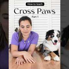 The easiest way to teach your dog to cross paws. Trick tutorial #dogtraining #dogtricks #doglover