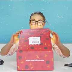 SnackFever - a monthly box of Korean snacks and goodies