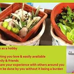 Collecting as a Hobby