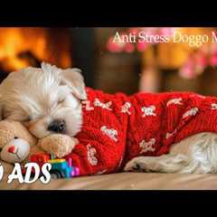12 HOURS Soft Dog Music 🐶Reduce Stress & Separation Anxiety Naturally 🎵Dog Relaxation Music