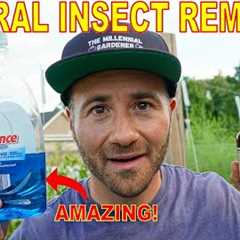 This Organic Pest Control Remedy Is A SCAM! 3 Natural Insecticides That WORK And One That DOESN'T!