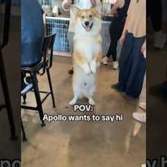 “Sometimes the best friendships aren't humans”☺️#dog #friendship #friends #cute #family