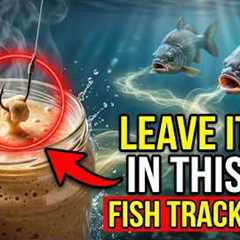 Leave Bait in This Homemade Mix for 12 Hours — The $0.80 Compound Fish Track from 20 Meters