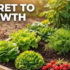 Gardening for Beginners: The Tips Nobody Shares