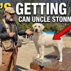 My Dog Doesn't Mind and It's Getting Fat | Can Uncle Stonnie Help?