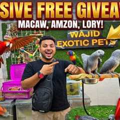 NEW STOCK ARRIVAL! 🦜 Wajid Exotic Pets Huge Update +  New  GIVEAWAY! 🔥 