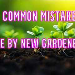 Easy Gardening For Beginners. 5 biggest mistakes made by first time gardeners .