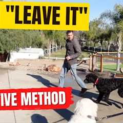 How to train leave it