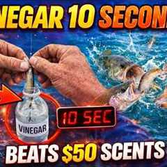 Dip Your Bait in Vinegar for 10 Seconds — Outperforms $50 Scents Instantly