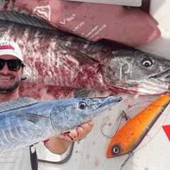How to catch a wahoo at the Key Largo Humps {catch & cook}