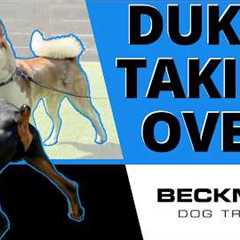 Why I Sent Duke In First Against This Dominant Husky