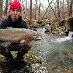 48 Hours Fishing TINY Creeks for Steelhead Trout - Hood Car Camping