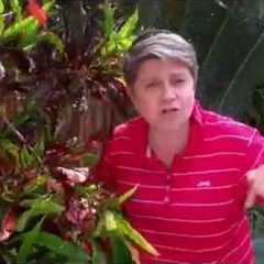 Tropical Gardening Ideas for Your Home