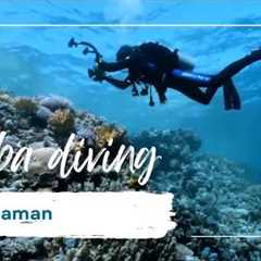 Scuba Diving in Andaman Havelock Island
