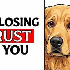 6 Daily Mistakes That Make Your Dog Lose Trust In You (STOP DOING THEM)