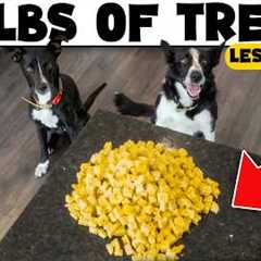Don’t Waste Money on Dog Treats Until You Try THESE