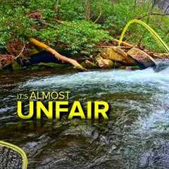 WORLD CHAMPS Fly Fish This Way for a Reason...