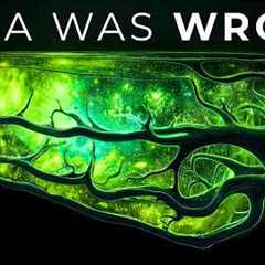 James Webb Just Proved The Universe Is FAR Older Than We Thought