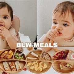 Easy Baby Led Weaning Meals | My Baby's Favorite Foods For Breakfast, Lunch & Dinner