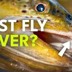 The Only Dry Fly You Really Need?