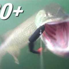 120+ cm Giant Pike Caught on Underwater Camera !