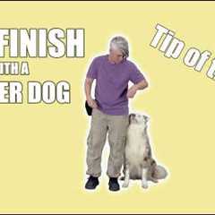 Dog Training Tip of the Day - LEFT FINISH for LARGER dogs