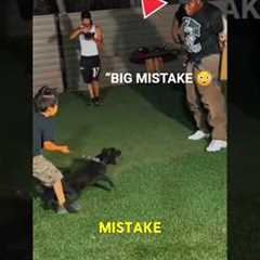 Puppy Protection Training Goes WRONG 😳🐶#usa #dog #trending