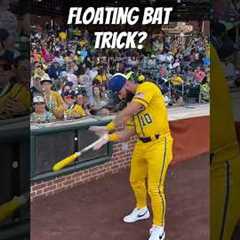 The Savannah Banana #Baseball Bat Trick You're Going to Try Tomorrow