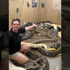 What’s in the secret snake room?😮