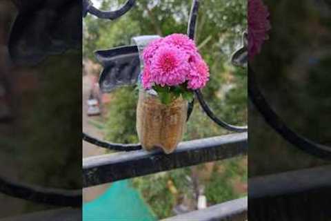 Plastic bottle garden ideas #shorts #youtube #gardening #shortsfeed #diy