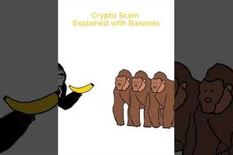 Monkey explains Rug Pull #cryptoeducation