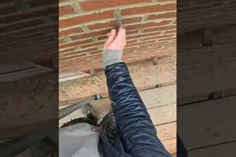 Pro Brickwork Pointing, Fast, Efficient & CLEAN 💥
