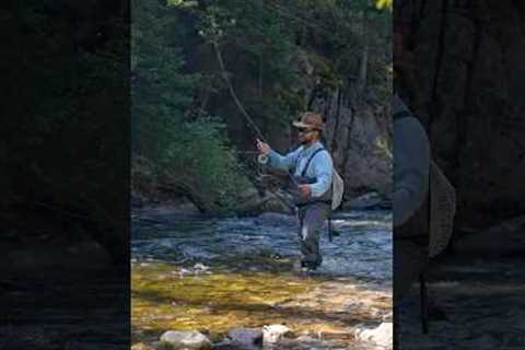 The One Fly That Works ALL YEAR — Fly Fishing Flies 101