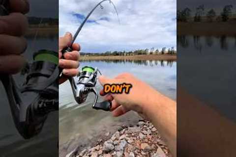 The Perfect Fishing Starter Kit🎣