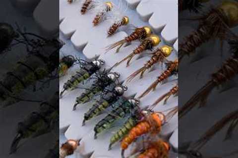 Top Flies for Fly Fishing &amp; the Insects Behind Them